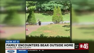 'I started screaming': Bear spotted in one metro Atlanta neighborhood