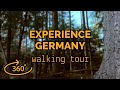 360° VR Walking Tour - Massive Sand Pit In Beautiful German Forest