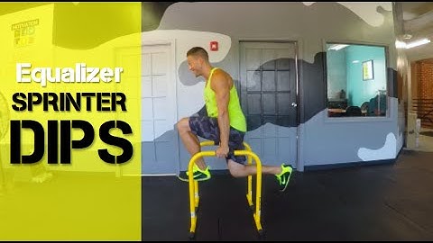 EQUALIZER TRICEP DIPS Variation for Toned Arms, Cardio and Core