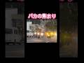 こいつらアホですね #ドラレコ #事故 #事故映像 #警察 #暴走族 #バイク #面白い