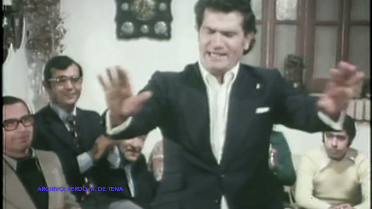 El Mono bailando por bulerías