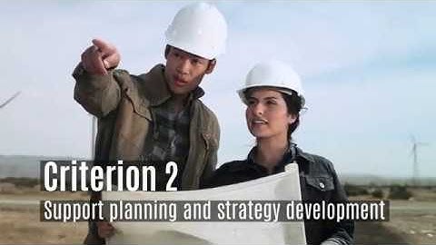 Principle of Action and Expression - Executive Function Criterion 2