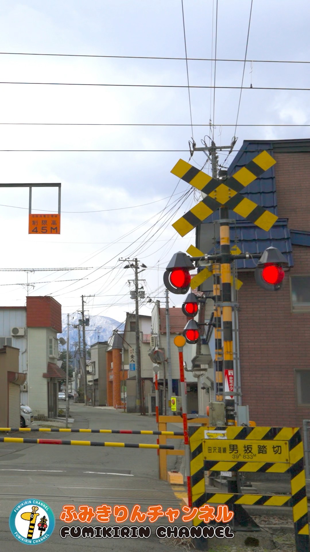 踏切 電車】なにが通るかな？？？【ふみきりショート動画207】 #shorts