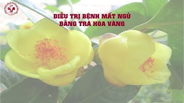 Bài thuốc nam điều trị mất ngủ trong dân gian được áp dụng nhiều