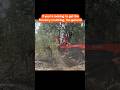 Land clearing, forestry mulching, site prep and driveways in Central Florida. 8