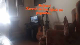 Mr.Gouni !!Curro!!...me has dejado sin gayumbos...