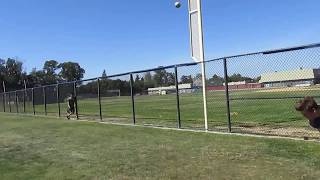 Rock 1 Separate Trial 3