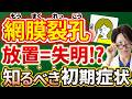 【網膜裂孔を徹底解説】光視症・飛蚊症からレーザー治療まで！早期発見と放置リスク、失明予防策を解説！手術や再発率、注意点についても網羅