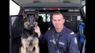 Kovacs Kennels - Home of working dogs