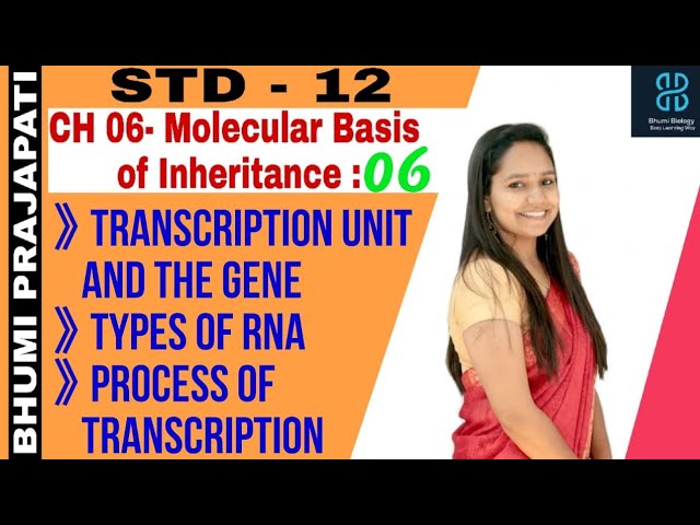 Std12#Biology#Chapter-06(part-06)