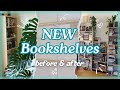 Building NEW Bookshelves for my home Library 📚 | the evolution of my bookshelves
