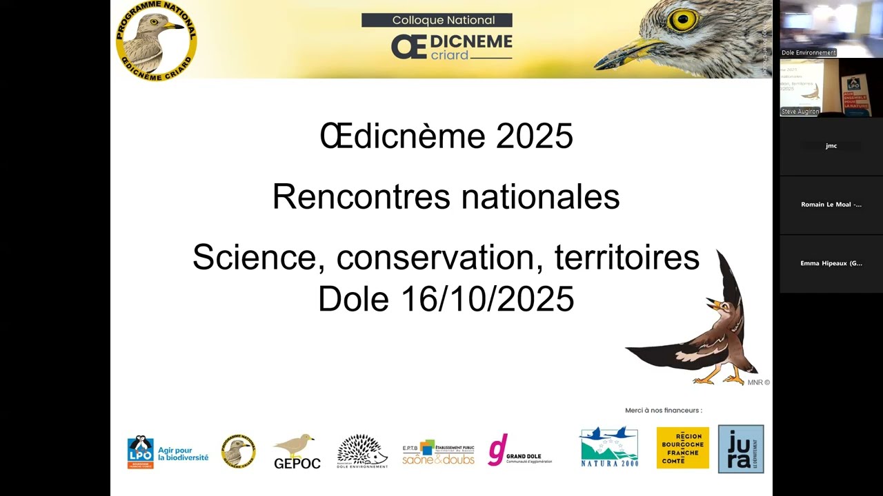 Colloque national Oedicnème criard 2025 (1/4)