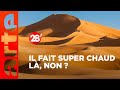 Intressant  pourquoi ne pas couvrir le sahara avec des panneaux solaires   28 minutes  arte