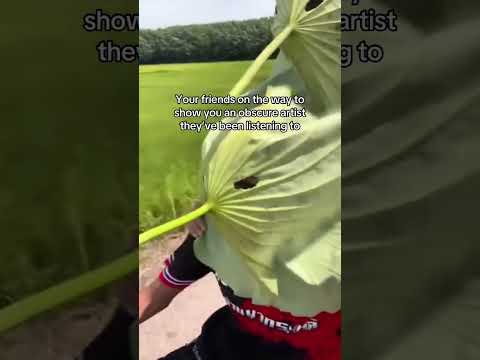 When your friends start listening to obscure artists