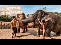 Private Experience With Elephants In Thailand! | Elephant Jungle Sanctuary Phuket 🐘