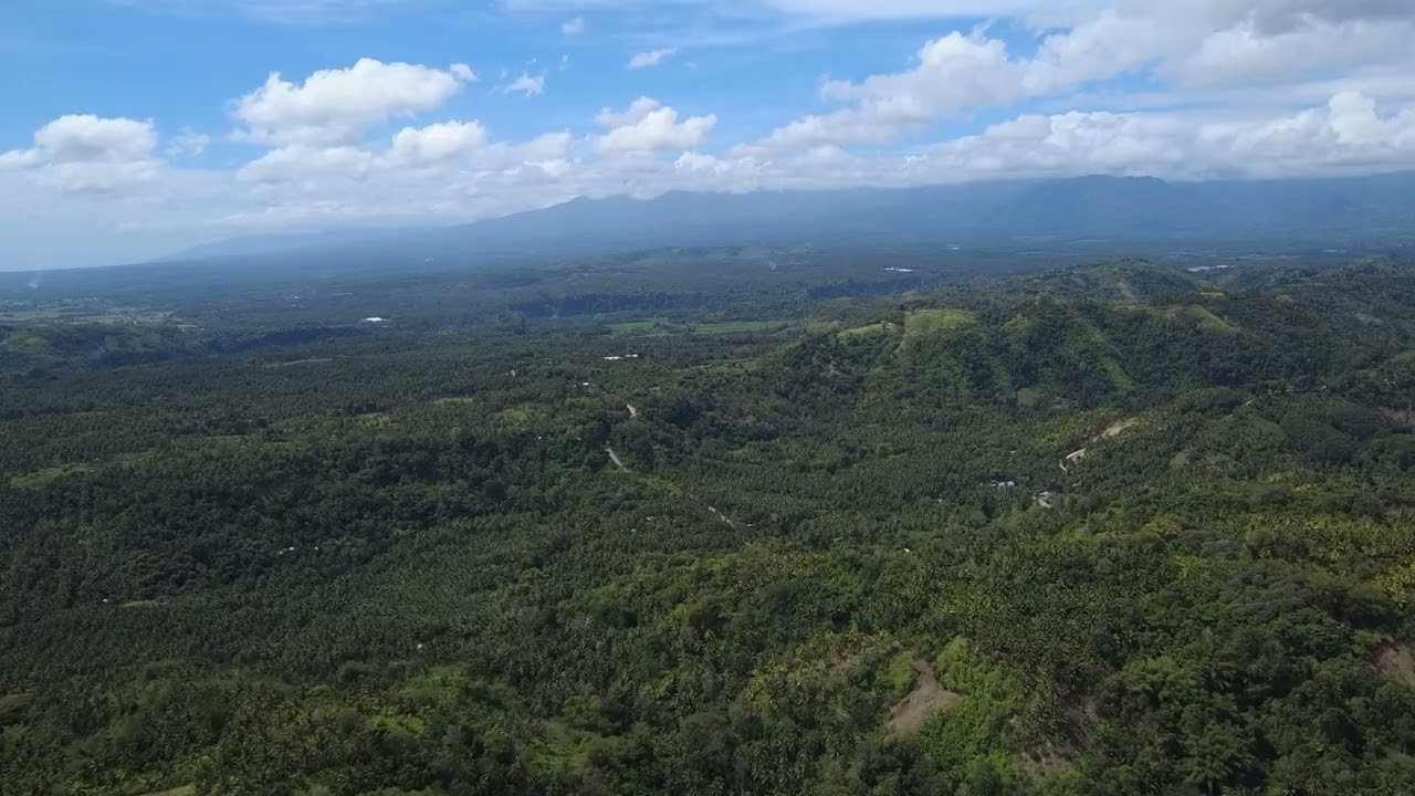 Brgy. Inayangan Camansi calinan dc. 