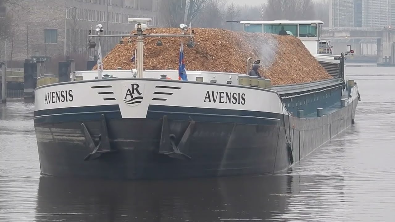 😱Ze Doen Nog Steeds Zo Suf Bij De Brug En 3 Jaar Later Naast 'YARIS' Ook 'AVENSIS' Gespot* - 