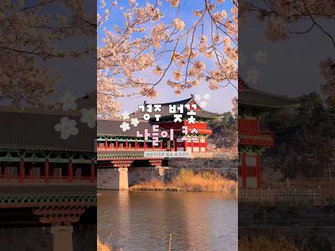 당일치기 경주 봄 여행코스
