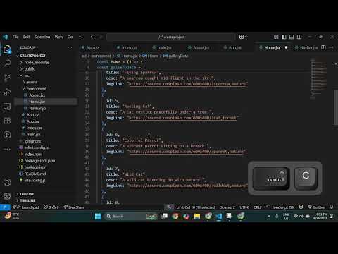 How to use Map Function in React VIte