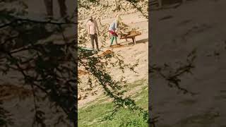 Janata Darbar #oficial #video #vinod