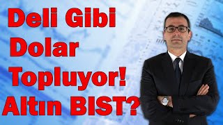 Deli Gibi Dolar Topluyor! I Altında Bu Seviyelere Dikkat! I Borsada Fırsat Sürüyor!