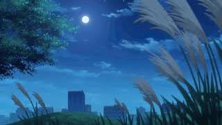 feng - left for USA (slowed + reverb)
