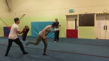 Multiple attacks 2017 Series 2-7 Praying Mantis Sifu Bryan Barnes