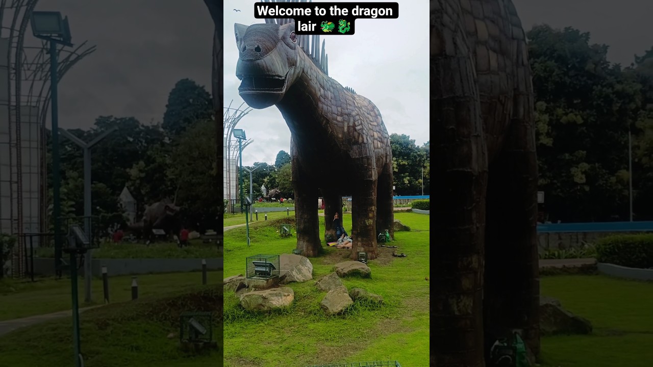 Lost in the dragon's kingdom 🐲 Adventure begins