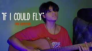 If I could fly by one direction (cover) on acoustic guitar