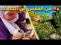 رزق من حيث لا تحتسب سبحان الله على جمال الطبيعة