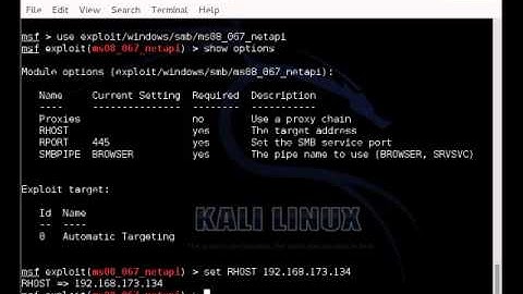 Kali Linux Accessibility Demo - Getting a shell with Metasploit