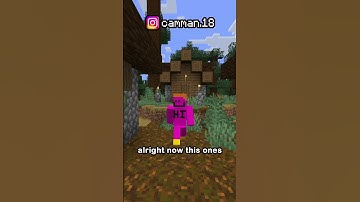 Minecraft Has Failed Me