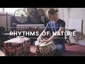 Rhythms of nature