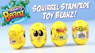 Mighty Beanz Squirrel Stampede Influencer Bean Opening 2018 Moose Toys