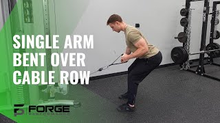 Bent Over Single Arm Cable Row Profile