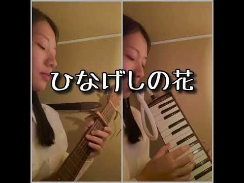 (cover)ひなげしの花/アグネス・チャン