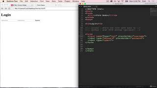 Lecture - 17  (The Form Tag)