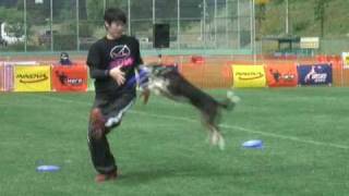 DISC DOG FREESTYLE KAZUNORI CHIBA&GAIA