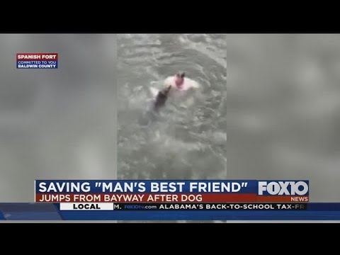 Man jumps from Bayway to save dog