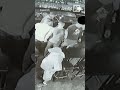VIDEO: Arizona mayor gets into bar fight