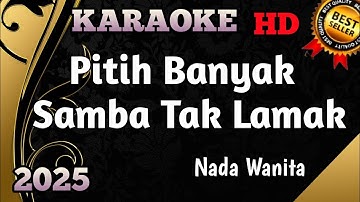 Pitih Banyak Makan Tak Lamak || Karaoke Minang Nada Wanita HD