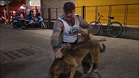Tim Sharky - YouTube