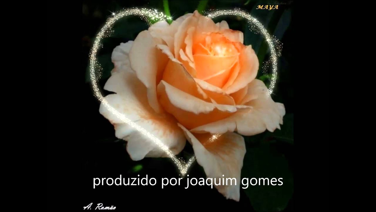 alex biso avia bairro bonito