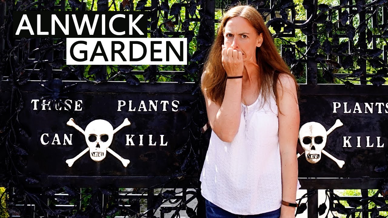 Exploring Alnwick Gardens, Alnwick Town + Barter Books