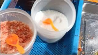 Surigao City | Surigao del norte | Quick Tour and Guide to the Island of wonders