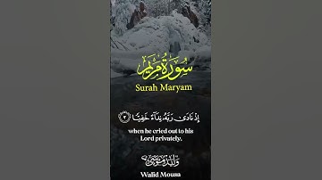 سورة البقرة تلاوة روحية خاشعة تنير القلب وتبعث الطمأنينة | Surah Al-Baqarah Spiritual Heart-touchy
