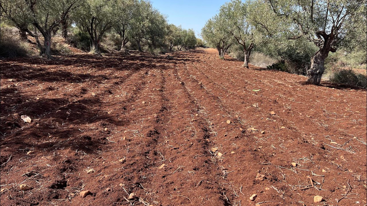 ارض ممتازة للبيع 3 هكتارات مابين فاس وصفرو جميع التفاصيل فالفيديو ☎️0607150424