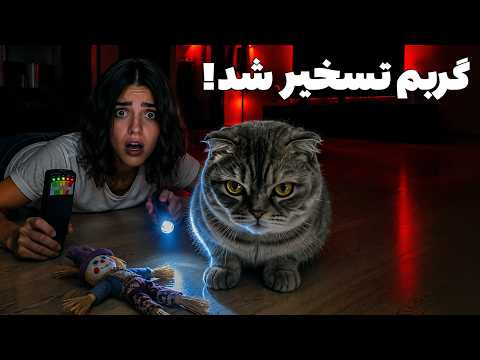 🔺 تست ۵ کاری که نباید هرگز یک ایرانی تو شب انجام بده 🔺