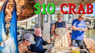 Crabbers Eat JUMBOS 🦀Boat Mukbang ⚓️