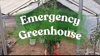 Emergency DIY Greenhouse